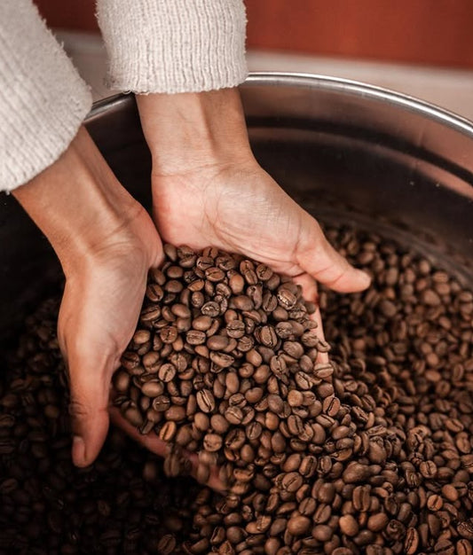 La torréfaction du café
